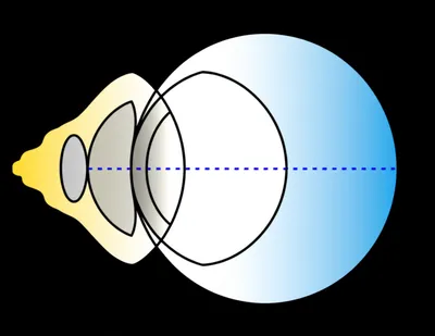 Illustration plus - Image 1