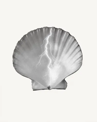 Illustration escalopes - Image 1