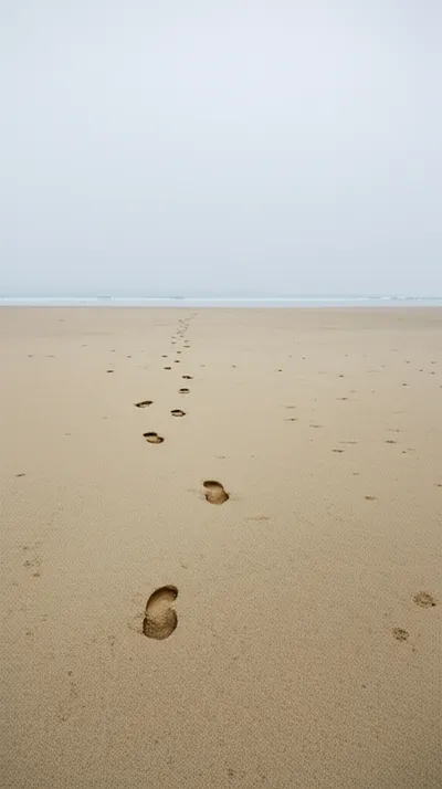 Illustration tracks - Image 2