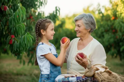 Illustration peaches - Image 1