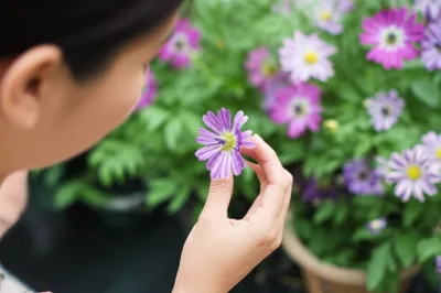 Illustration discernment - Image 1