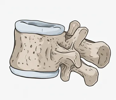 Illustration lamina - Image 1