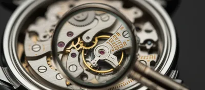 Illustration details - Image 1