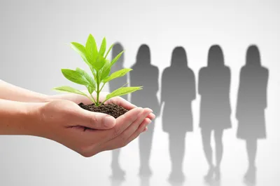 Illustration supplier