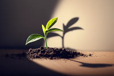 Illustration suggest - Image 1