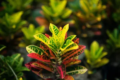 Illustration shoot - Image 1