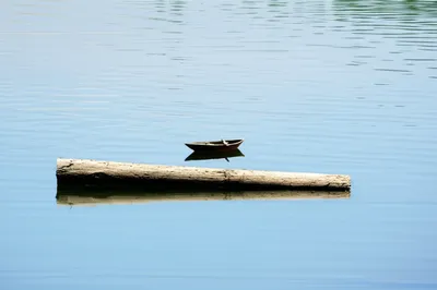 Illustration thwart - Image 1