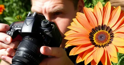 Illustration photographed - Image 1