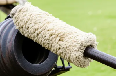 Illustration sponges - Image 1