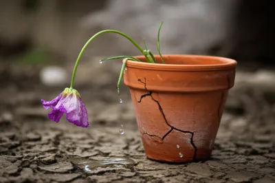 Illustration exhausted