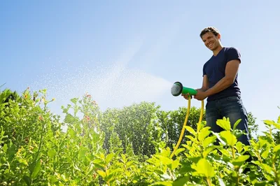 Illustration liking - Image 1