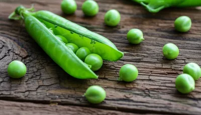 Illustration shelling - Image 1