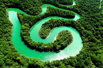 Illustration serpentine - Image 1