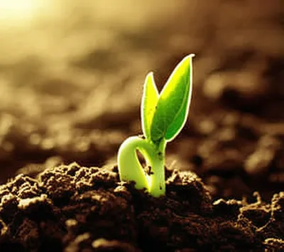 Illustration stimulates - Image 1