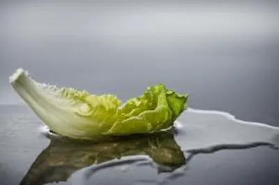 Illustration pap - Image 1