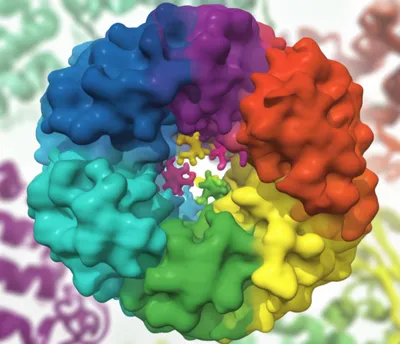 Illustration enzymes