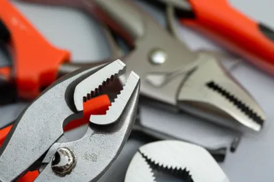 Illustration dogs - Image 1