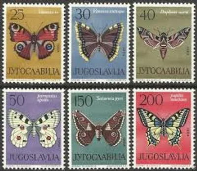 Illustration thematic - Image 2