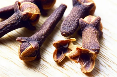 Illustration clove - Image 1