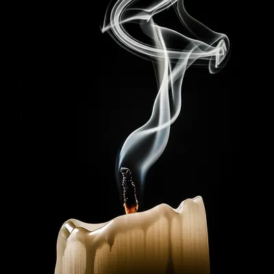 Illustration terminal - Image 1