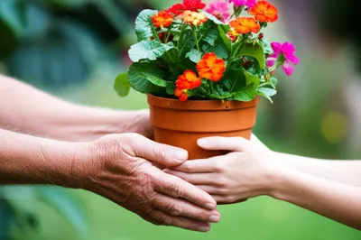 Illustration renditions - Image 1