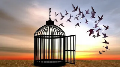 Illustration unleashed - Image 1