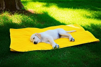 Illustration sunned - Image 1