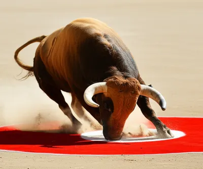 Illustration poking - Image 1