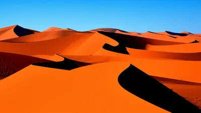 Illustration ergs - Image 1