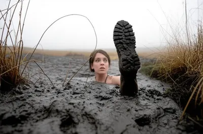 Illustration bogs - Image 1