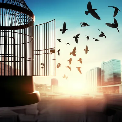 Illustration liberties - Image 1