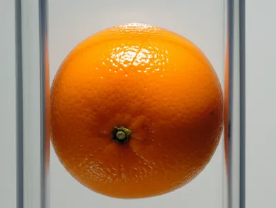 Illustration squeezed - Image 1