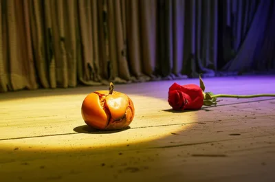 Illustration trite - Image 1