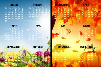 Illustration biannual - Image 1