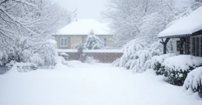 Illustration pitching - Image 1