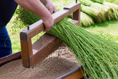 Illustration rippled - Image 1