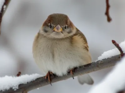 Illustration compassionate - Image 1