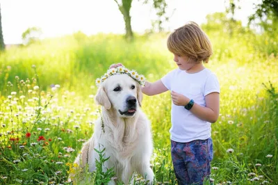 Illustration trusting - Image 1