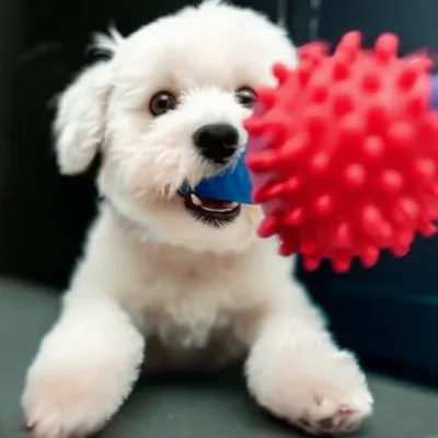 Illustration bitey - Image 1