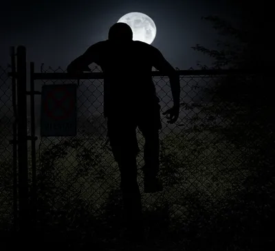 Illustration trespassing - Image 1