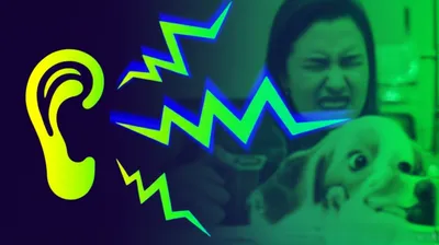 Illustration whistles - Image 1