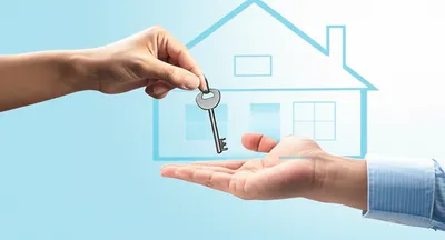 Illustration repurchase - Image 1