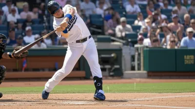 Illustration fouls - Image 1