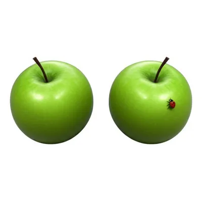 Illustration identically