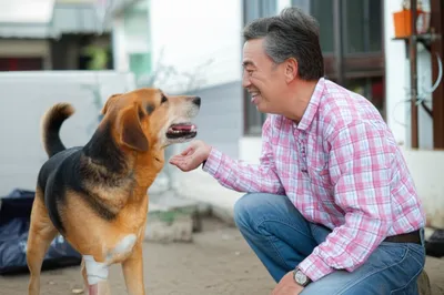 Illustration knows - Image 1