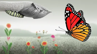 Illustration transforms - Image 1