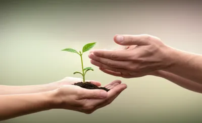 Illustration hands - Image 1