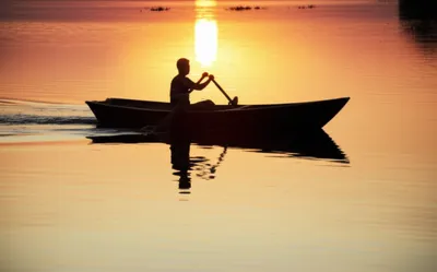 Illustration pulls - Image 1