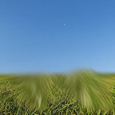 Illustration wash - Image 1