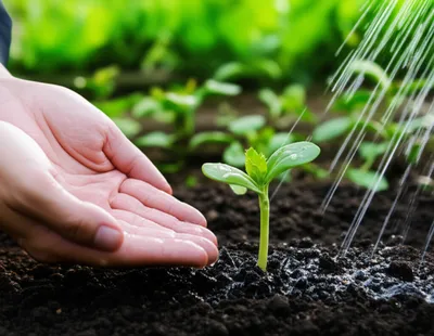 Illustration grinding - Image 1